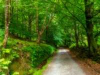 Glendalough, Co. Wicklow